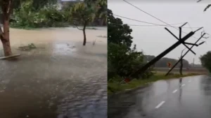 Incessant rains have changed the weather 