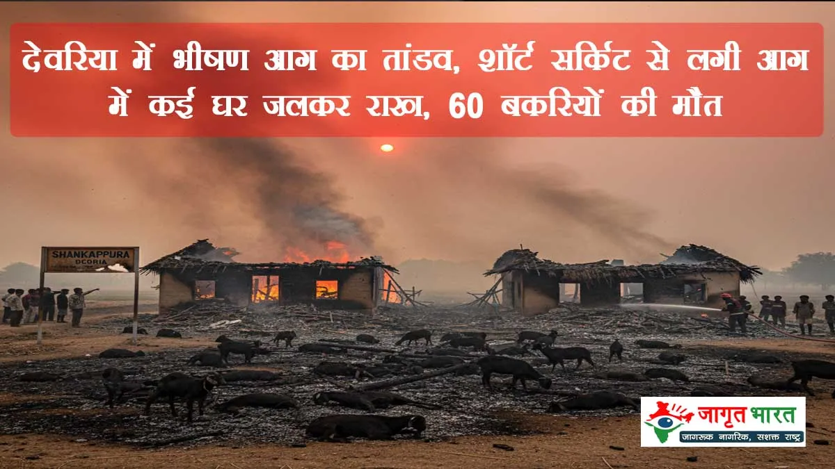 Massive fire in Shankarpura, Deoria 60 goats and two houses burnt to ashes