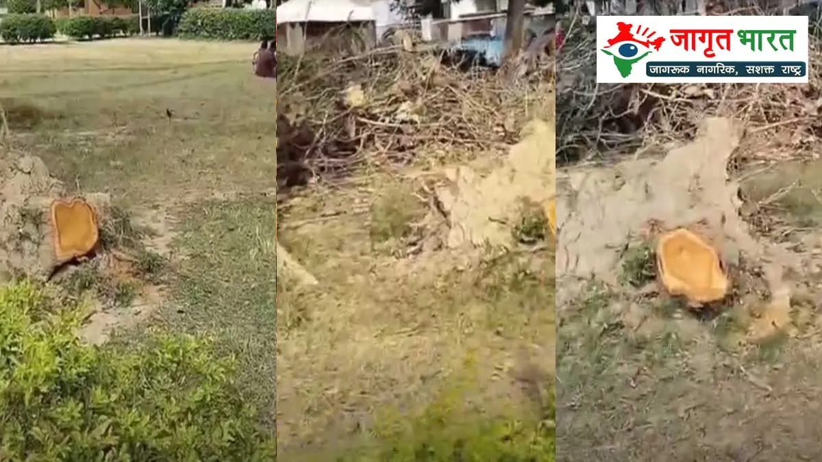 Teak wood worth Rs 4 lakh stolen from Deendayal Upadhyay Park