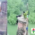 देवरिया में पुलिस की सतर्कता से बची किशोरी की जान, पुल से कूदने ही वाली थी नदी में, सीओ ने दिखाई हिम्मत