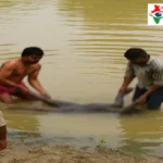 देवरिया: छोटी गंडक में डूबे युवक का शव बरामद, भैंस को पकड़ने नदी में उतरा था—दो दिन बाद मिला शव