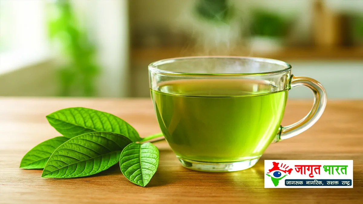 guava-leaf-tea-benefits-for-eyes-health-news