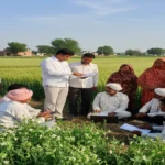 प्रधानमंत्री फसल बीमा योजना पर बड़ा अपडेट: रबी फसलों के बीमे की शुरुआत, किसानों के लिए अंतिम तारीख तय