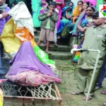 देवरिया: भैंस को बचाने में महिला की जलकर मौत, झोपड़ी में लगी आग ने ली जान