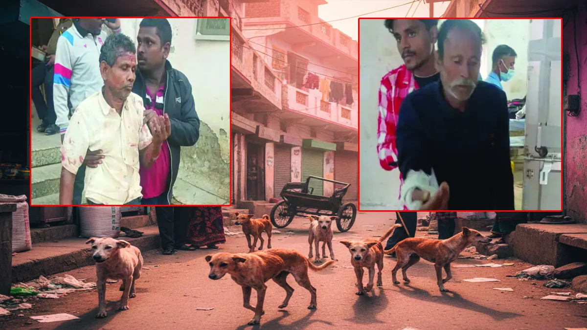 deoria-stray-dog-attack-200-injured-20-days