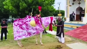 lucknow-duldul-horse