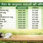 यूपी में होमियोपैथी दवाओं की खरीद में घोटाला : 15 गुना महंगी खरीदी गईं होम्योपैथिक दवाएं, जेम टेंडर ने खोली सरकारी खरीद की परतें