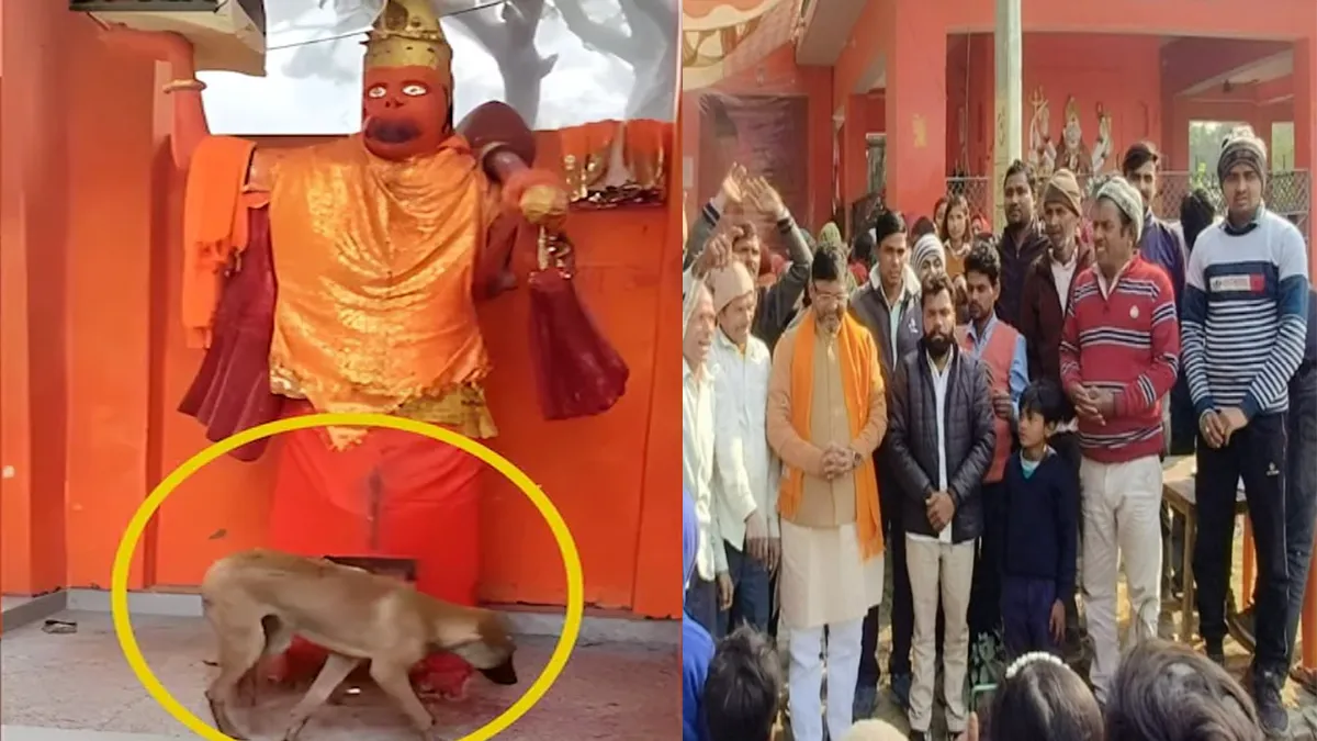 bijnor-dog-circumambulating-hanuman-idol-front-brain-disorder