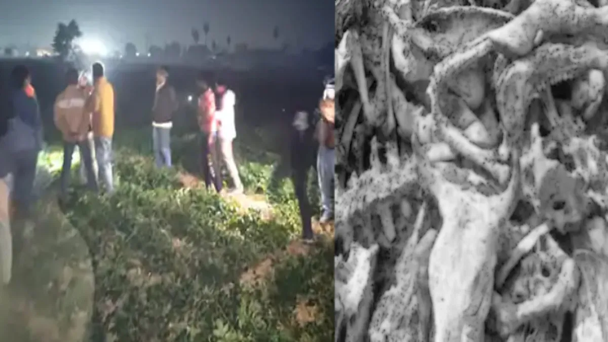 kanpur-bilhaul-durga-mandir-govansh-avshesh-hangama-polic-suspend