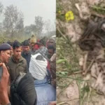 लखनऊ: सरसों के खेत में महिला का नरकंकाल मिला, पास से बरामद हुई साड़ी; DNA जांच शुरू