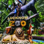 लखनऊ: कुकरैल नाइट सफारी में चिड़ियाघर शिफ्ट करने की जरूरत नहीं, नाइट सफारी तक बनेगी 2 लेन सड़क, 700 से ज्यादा पेड़ कटने से बचेंगे