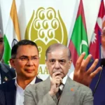 मालदीव ने SAARC को फिर सक्रिय करने की पैरवी की, भारत अब भी सतर्क रुख पर कायम