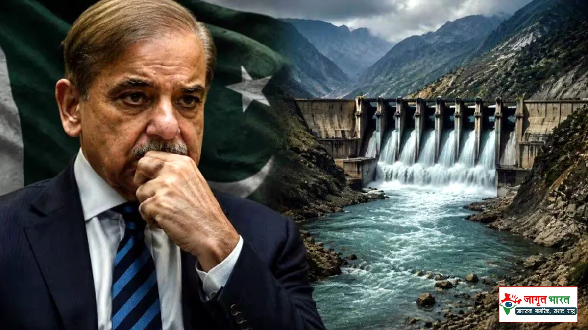 Pakistan on the Indus Water Treaty