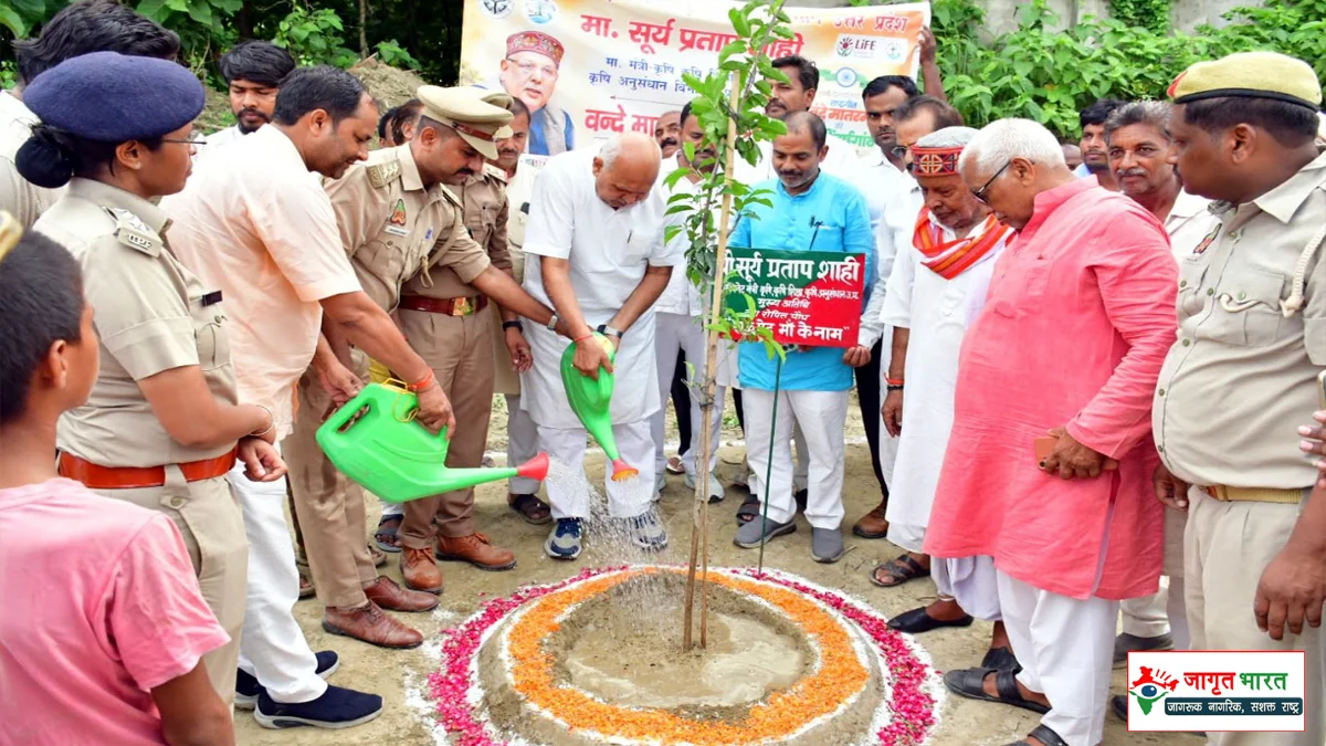 Deoria A Tree in Mother's Name